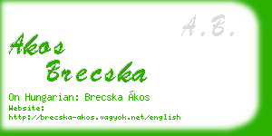 akos brecska business card